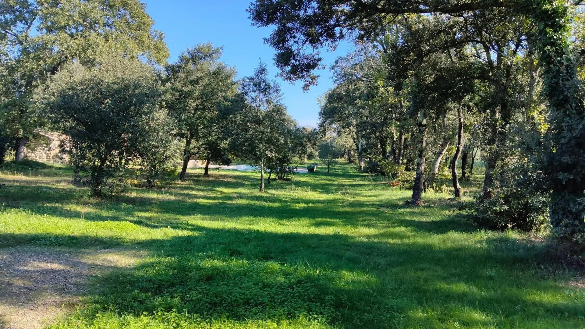 Bastide Provencale Au Calme Villa Richerenches
